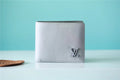 Louis Vuitton Multiple Wallet 12cm