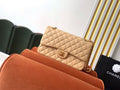 Chanel Classic Flap Bag 25cm Silver Hardware Lambskin Leather Spring/Summer Collection Beige