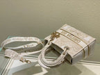 Christian Dior Medium Lady D-Lite Bag 24cm