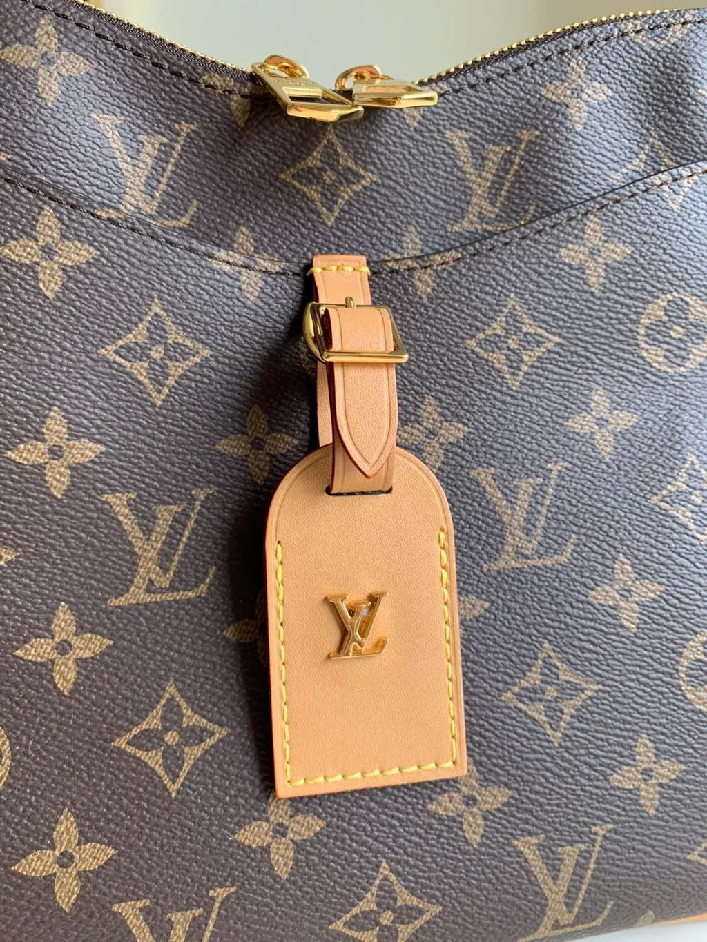 Louis Vuitton Odeon PM Monogram Canvas  28cm, Brown