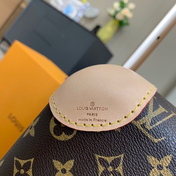 Louis Vuitton Rolling Lugage 55cm Brown