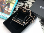 Chanel Evening Bag AS3264