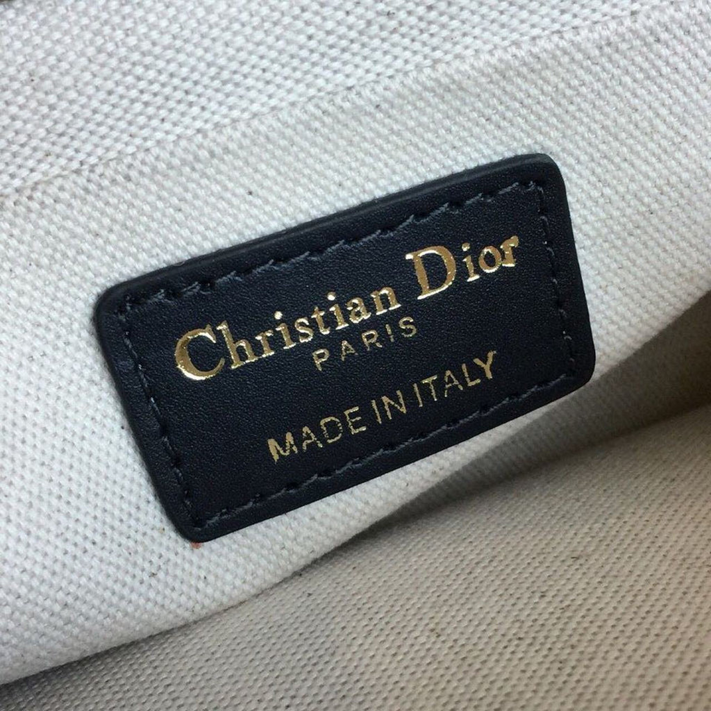 Dior Diorquake Clutch Canvas Bag Fall/Winter Collection