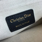 Dior Diorquake Clutch Canvas Bag Fall/Winter Collection