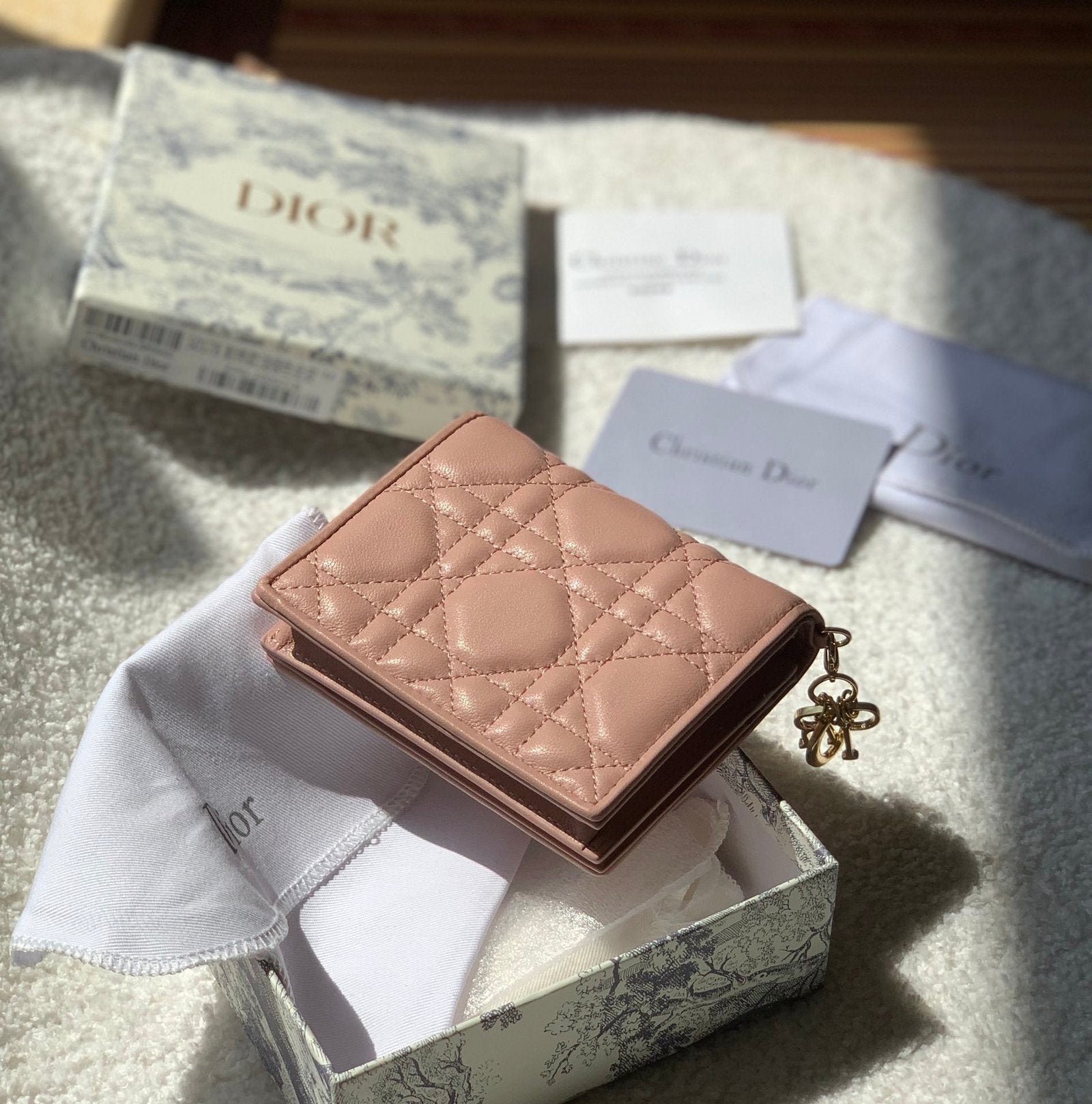 Mini Lady Dior Pink Wallet 11cm