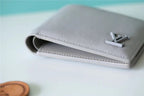 Louis Vuitton Multiple Wallet 12cm