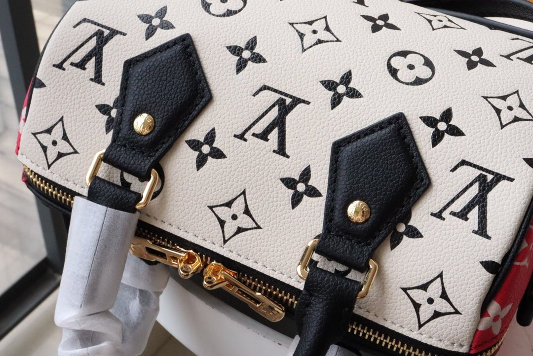 Louis Vuitton Speedy Bandoulière 20