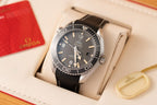 Omega Watch Planet Ocean 600M Dial Black 43.5mm