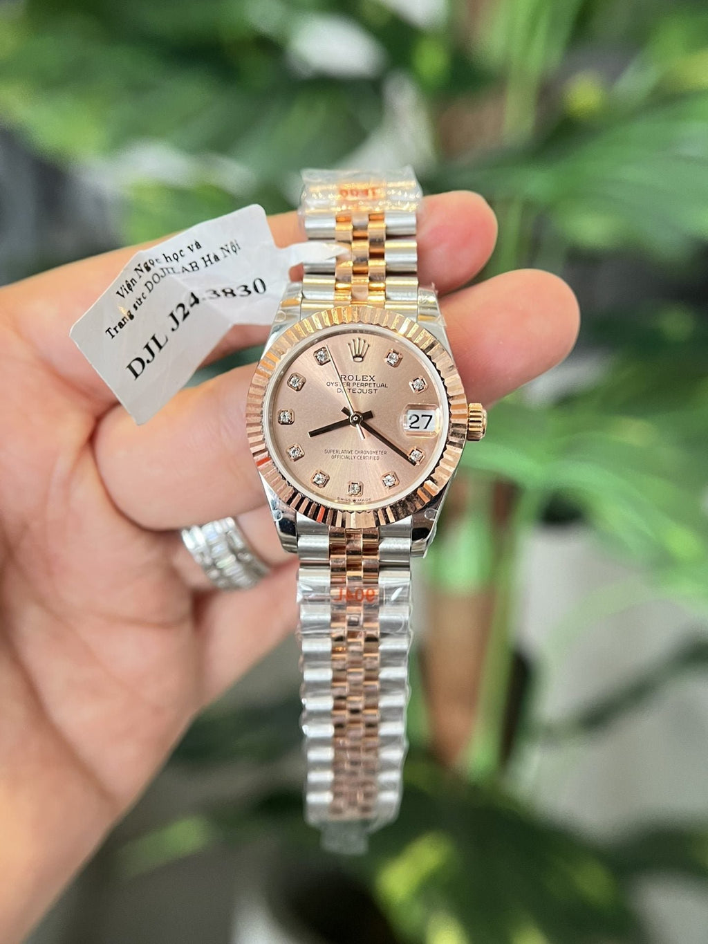 Rolex Watch Date Just Gold Wrapped Womens 31mm