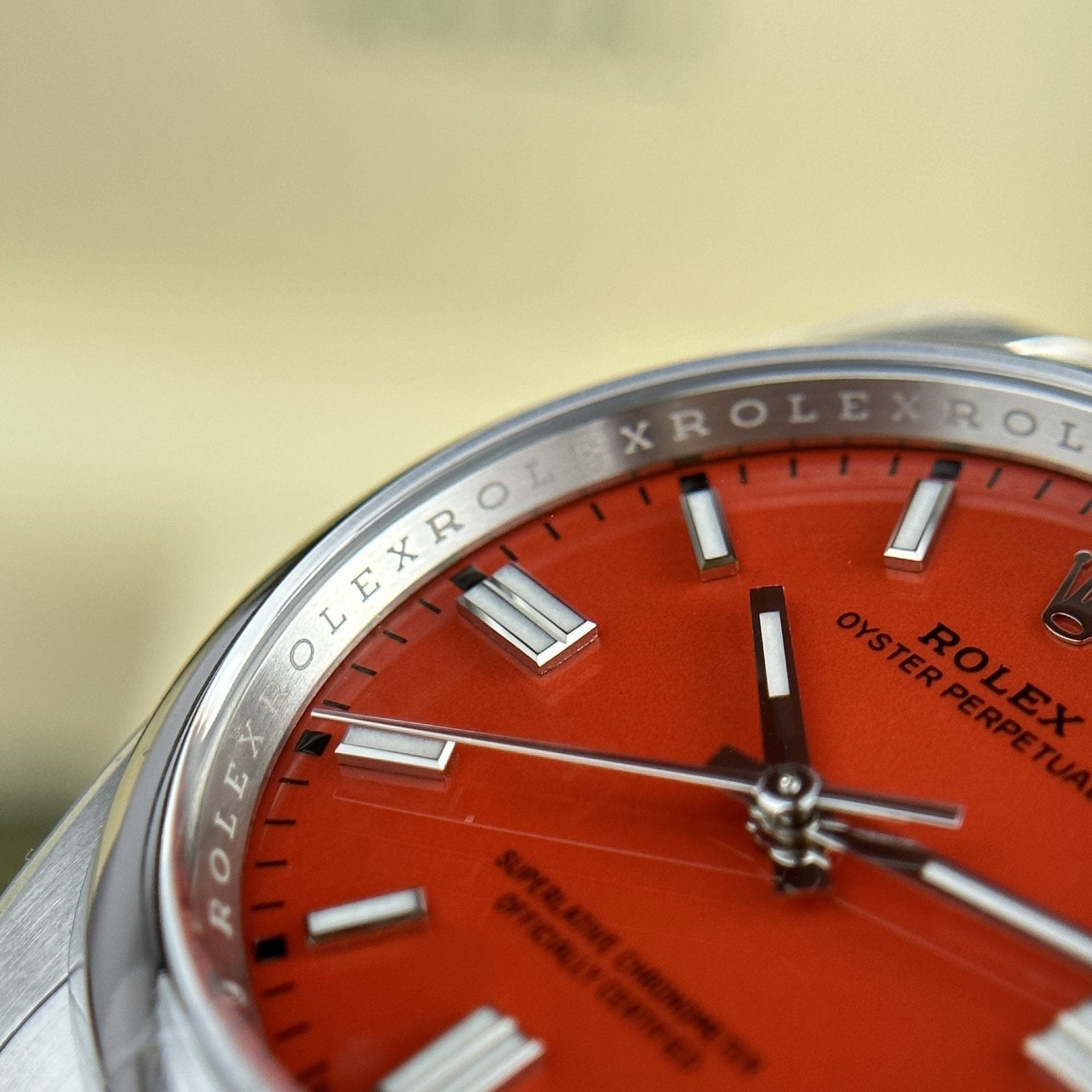 Rolex Watch Oyster Perpetual 126000 Red Dial 36mm
