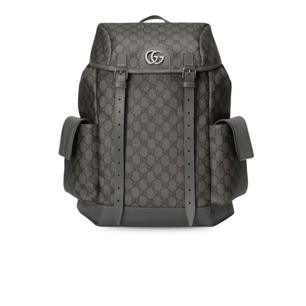 Gucci Ophidia Medium Backpack Grey 15.7 in/ 40 cm