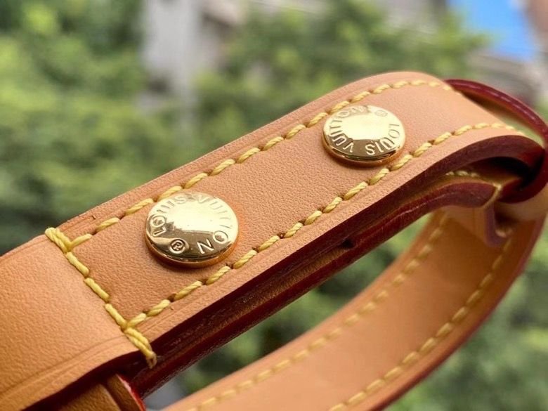 Louis Vuitton Odeon PM Monogram Canvas 25cm Brown