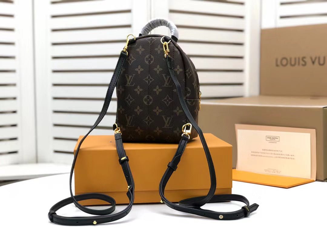 Louis Vuitton Palm Springs Mini Backpack 22cm Monogram Canvas Spring/Summer Collection M41562, Brown