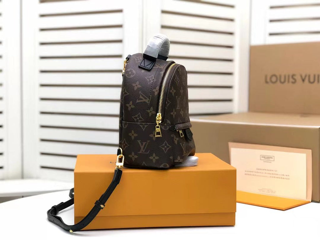 Louis Vuitton Palm Springs Mini Backpack 22cm Monogram Canvas Spring/Summer Collection M41562, Brown