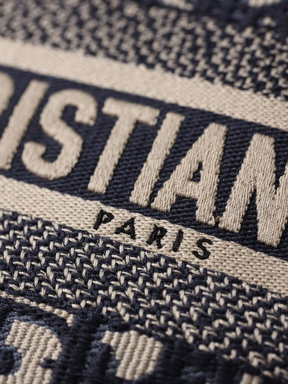 Christian Dior Logo Saddle Bag 25cm Oblique Embroidered Canvas Spring/Summer Collection Black