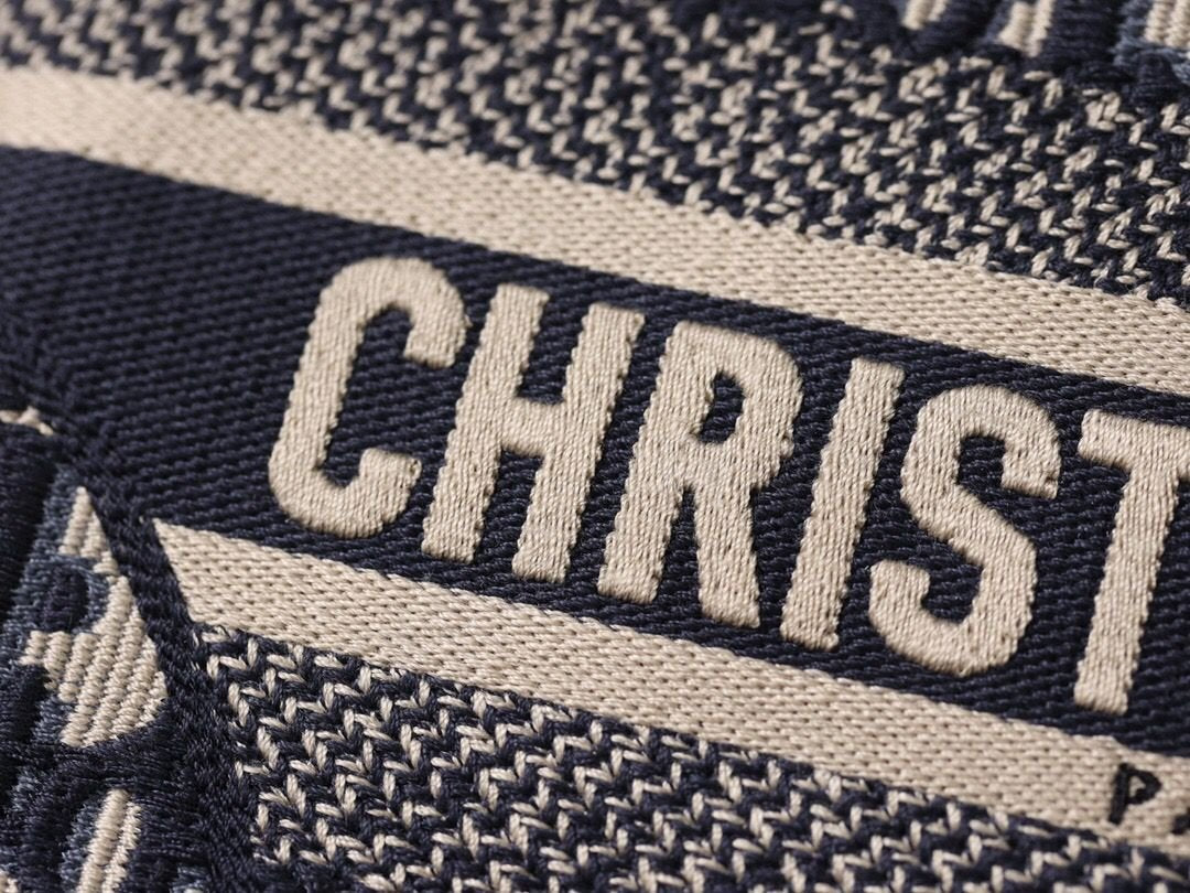 Christian Dior Logo Saddle Bag 25cm Oblique Embroidered Canvas Spring/Summer Collection Black