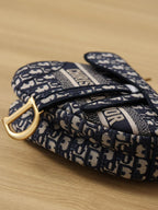 Christian Dior Logo Saddle Bag 25cm Oblique Embroidered Canvas Spring/Summer Collection Black