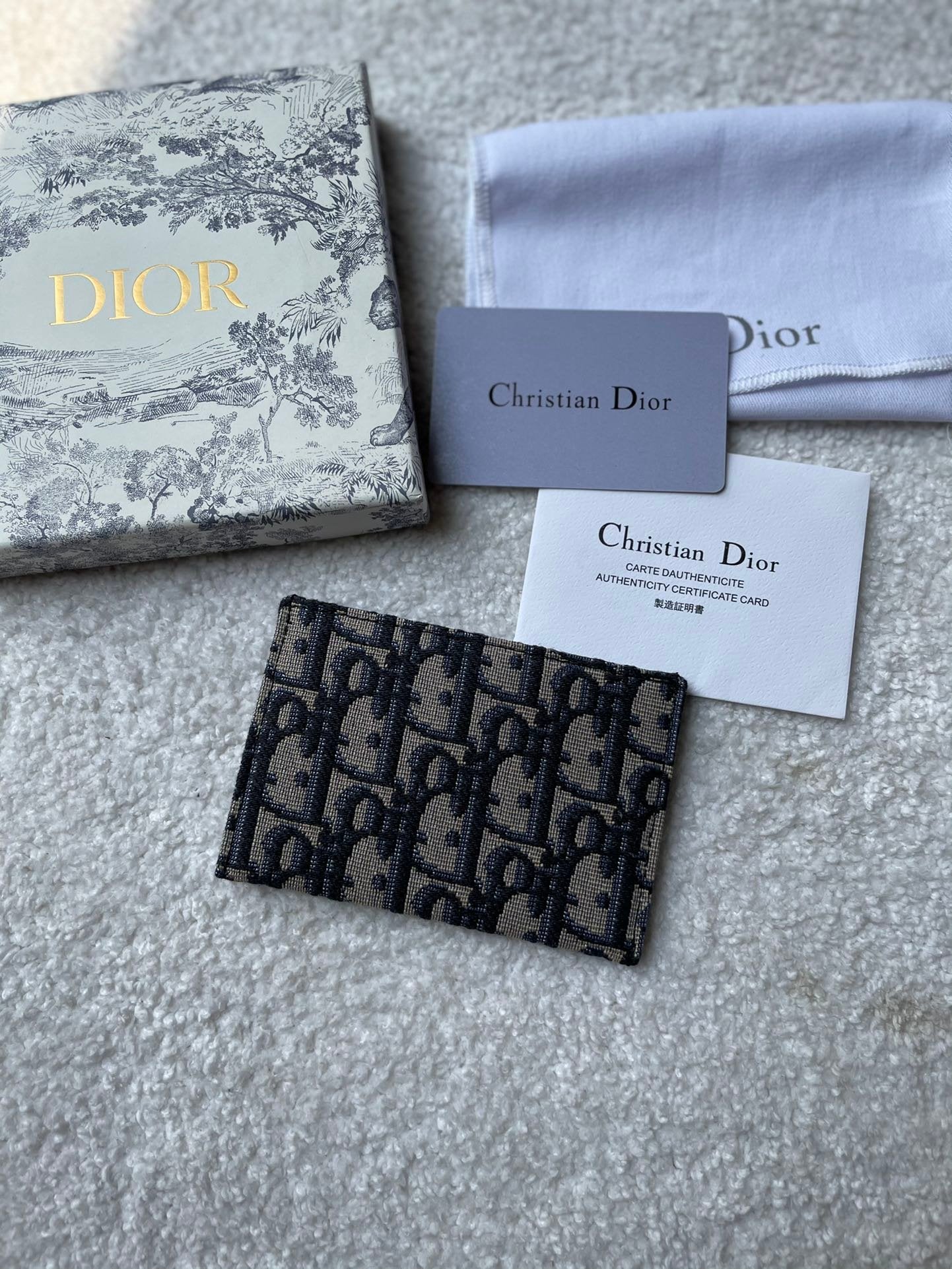 Christian Dior Multicolor Card Holder Oblique 13cm