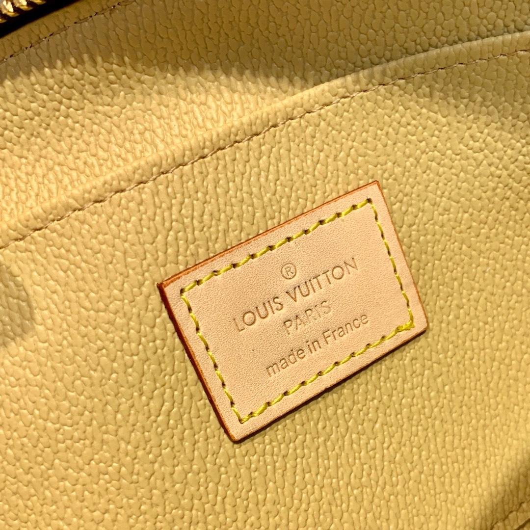 Louis Vuitton Cosmetic Pouch 19cm Brown