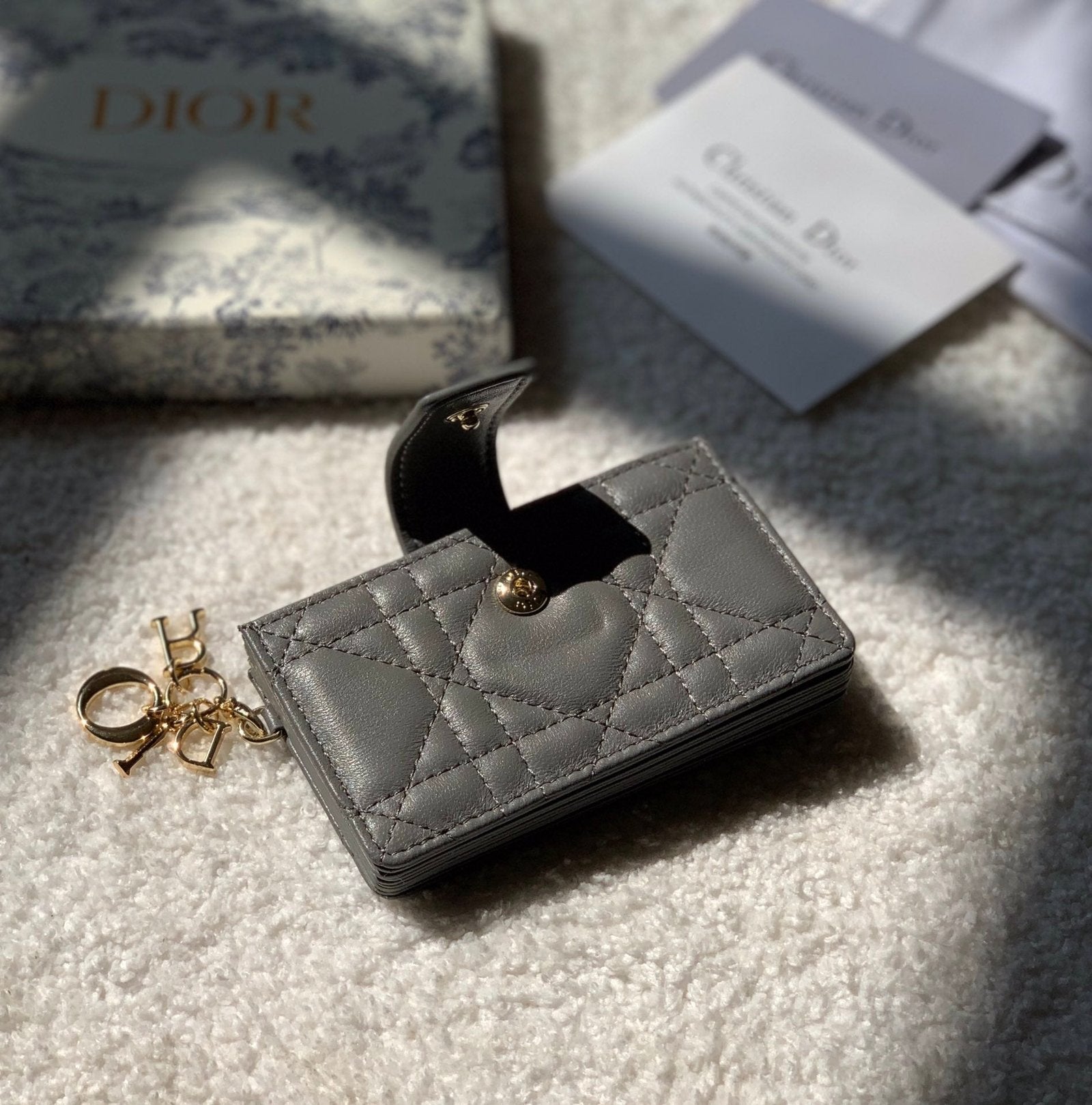 Christian Dior Grey Clutch 10cm