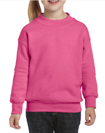 Differences Toddler/Youth Fleece Pullover